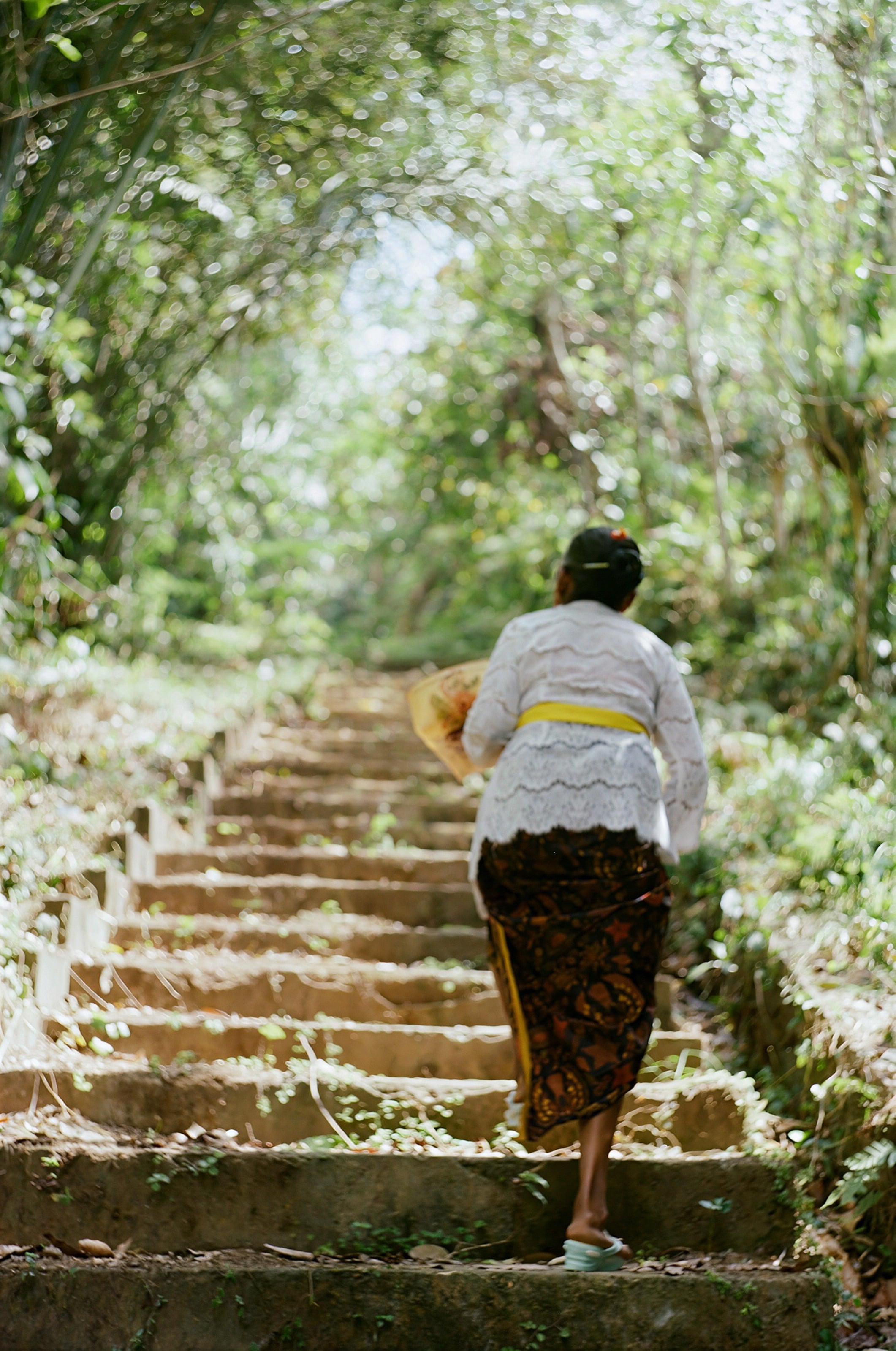 Una mujer con sarong subiendo escalones de piedra de un templo entre la selva de Bali