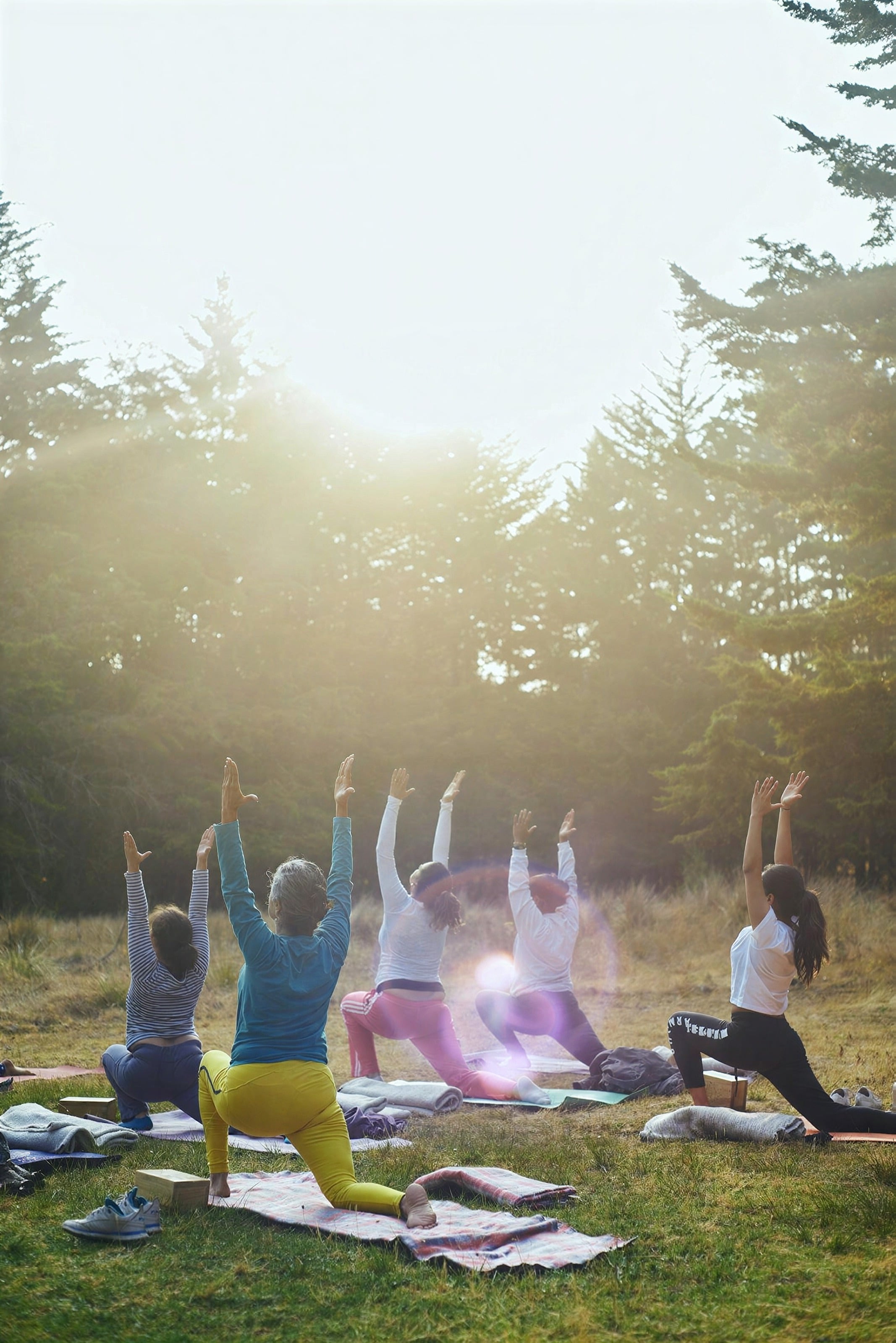Un grupo pequeño practicando yoga sobre esterillas en un claro del bosque iluminado por el sol