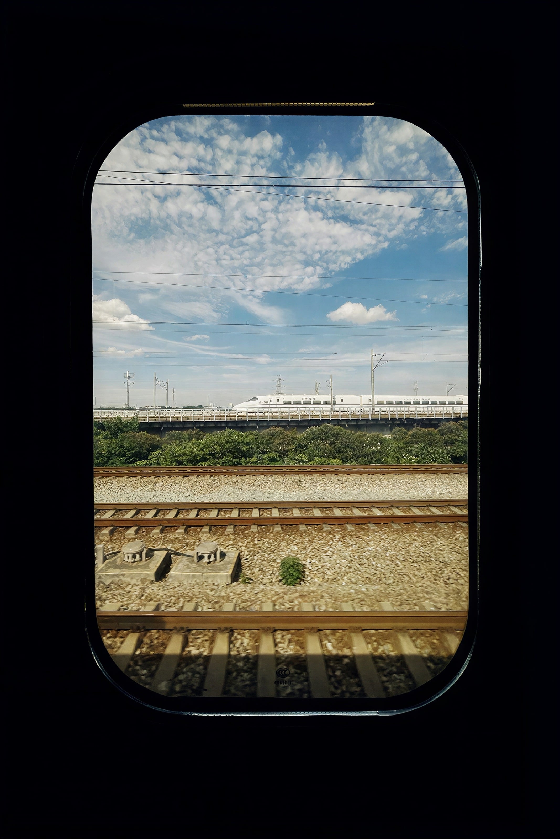 El campo visto desde la ventanilla de un tren