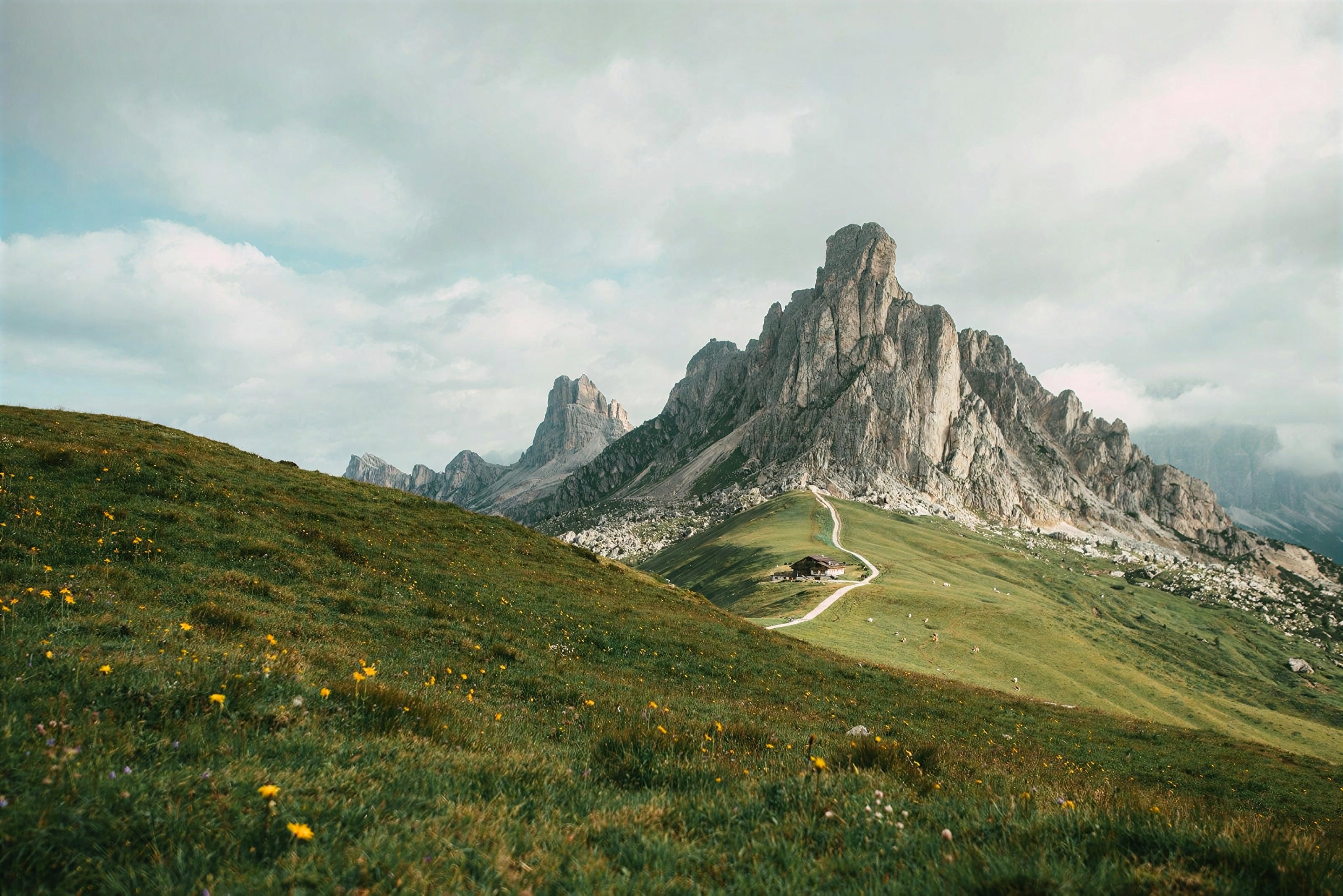 Un prado alpino de hierba bajo un pico escarpado de los Dolomitas